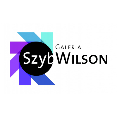Galeria Szyb Wilson