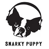 Bilety na koncerty Snarky Puppy