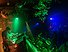 GARDEN OF GOD