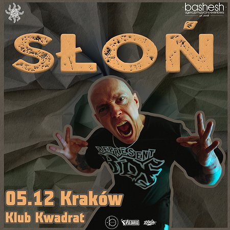 Słoń | Kraków