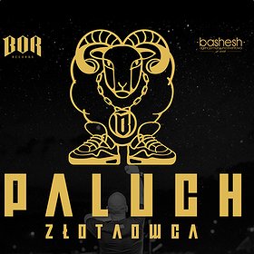 Koncerty: Paluch - Zabrze 