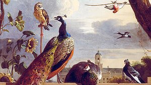 MUSICA SACRA / ALESSANDRO SCARLATTI