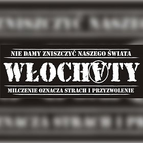 WŁOCHATY w THE ROCK WAŁBRZYCH (GOŚĆ WC)