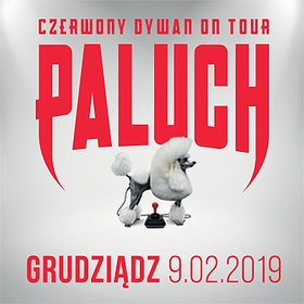 Concerts: Paluch - Grudziądz