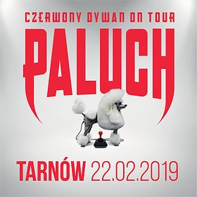 Koncerty: Paluch - Tarnów
