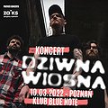 Pop / Rock: Dziwna Wiosna | Poznań, Poznań