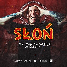 Słoń | Gdańsk