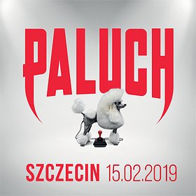 Koncerty: Paluch - Szczecin