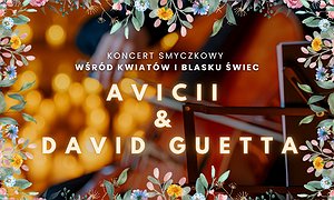 Koncert wśród kwiatów i tysiąca świec: Avicii & David Guetta