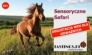 Kurs degustacji win - "Sensoryczne safari"