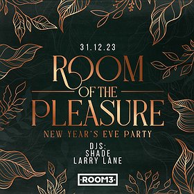 Room of the pleasure  | New Year's Eve Party