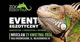 ZooEgzotyka Wrocław