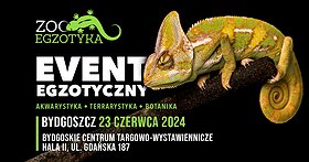 ZooEgzotyka Bydgoszcz