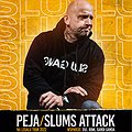 Hip Hop / Reggae: Peja/Slums Attack | Na Legalu Tour | Szczecin, Szczecin