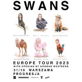 Pop: Swans