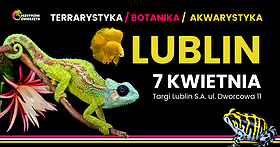 Egzotyczne Zwierzęta LUBLIN - 7 Kwietnia TERRARYSTYKA / AKWARYSTYKA / BOTANIKA
