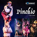 Theaters: Spektakl Pinokio | Wrocław, Wrocław