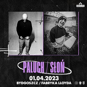 Paluch & Słoń | Bydgoszcz