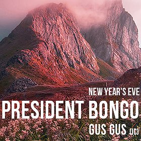 Imprezy: New Year's Eve w. PRESIDENT BONGO (gus gus/IS)