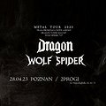 Hard Rock / Metal: DRAGON / WILCZY PAJĄK | POZNAŃ, Poznań