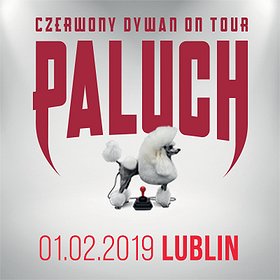 Koncerty: Paluch - Lublin